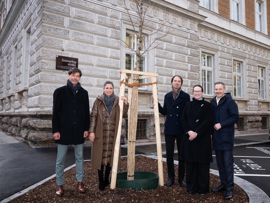 Bäume vor dem OLG Innsbruck - Wigbert Zimmermann, Mariella Lutz, Holger Mangesius, Agata Bilinska, Robert Wolf